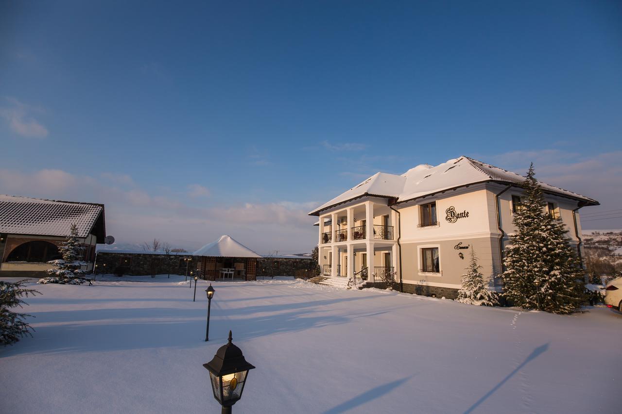 Conacul Dante Hotel Pianu de Jos ภายนอก รูปภาพ