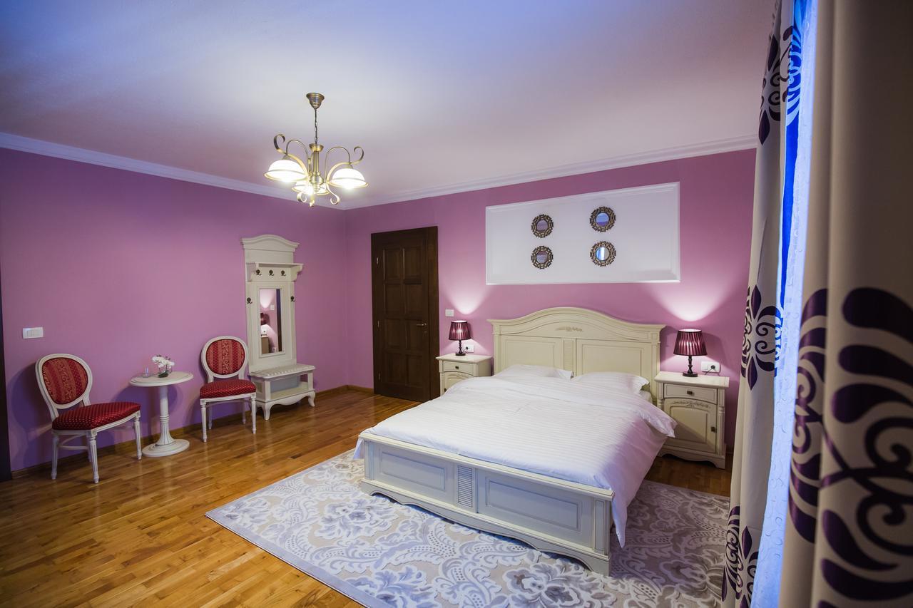 Conacul Dante Hotel Pianu de Jos ภายนอก รูปภาพ
